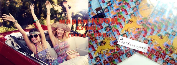 СК Уссурийск